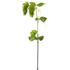 Hopfen, 107cm, grün, Real Touch