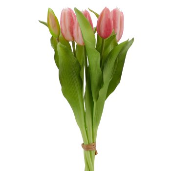 Tulpenbund x5, 32cm, rosa