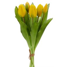 Tulpenbund x5, 32cm, gelb