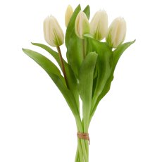 Tulpenbund x5, 32cm, weiß