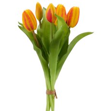 Tulpenbund x5, 32cm, orange
