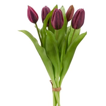 Tulpenbund x5, 32cm, lila