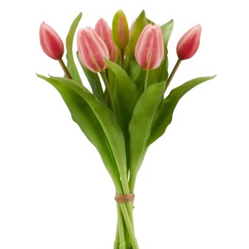Tulip bunch x7, 32cm, pale pink