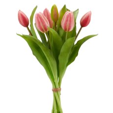 Tulpenbund x7, 32cm, rosa