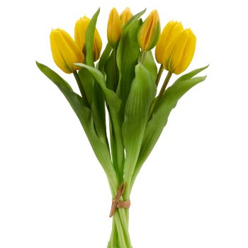 Tulpenbund x7, 32cm, gelb