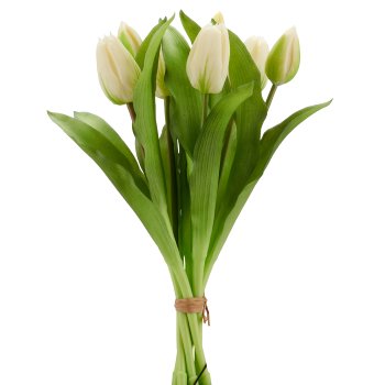 Tulpenbund x7, 32cm, weiß