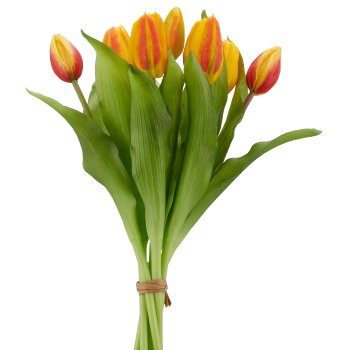 Tulpenbund x7, 32cm, orange