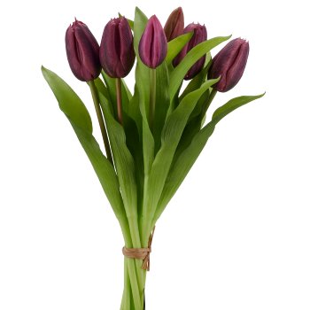 Tulpenbund x7, 32cm, lila