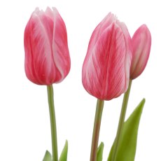 Tulip bunch x3, 41cm, pink