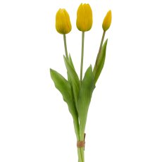 Tulpenbund x3, 41cm, gelb