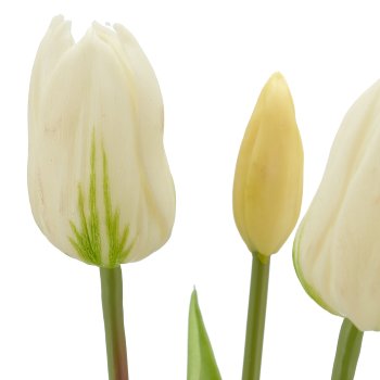 Tulpenbund x3, 41cm, weiß