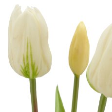Tulpenbund x3, 41cm, weiß
