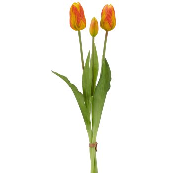 Tulpenbund x3, 41cm, orange
