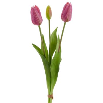 Tulpenbund x3, 41cm, helllila