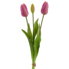 Tulpenbund x3, 41cm, helllila