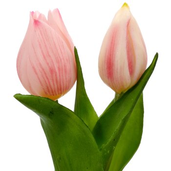 Tulpenbund x2 mit Zwiebeln, 21cm, rosa
