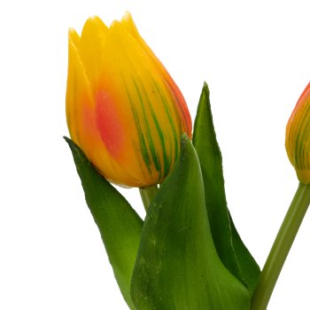 Tulip bunch x2 with bulbs, 21cm, orange