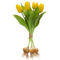 Tulpenbund x5 mit Zwiebeln, 40cm, gelb