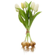 Tulpenbund x5 mit Zwiebeln, 40cm, weiß