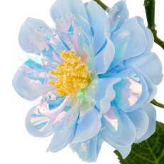 Rose x3, 89cm, blau
