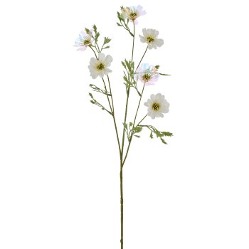 Cosmea x6, 76cm, weiß