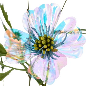 Cosmea x6, 76cm, blue