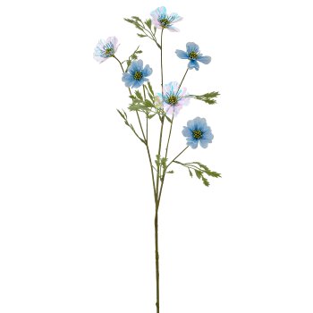 Cosmea x6, 76cm, blue