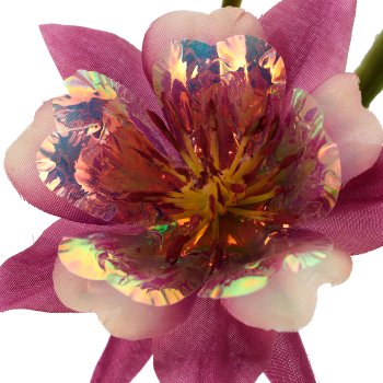Akelei, 74cm, rosa