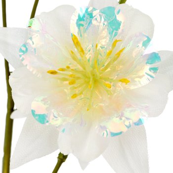 Columbine, 74cm, white