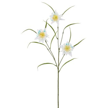 Columbine, 74cm, white