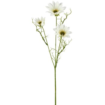 Margeritenzweig x3, 63cm, weiß