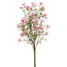 Portugalröschenbund x3, 49cm, rosa