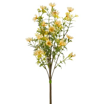 Portugalröschenbund x3, 49cm, gelb