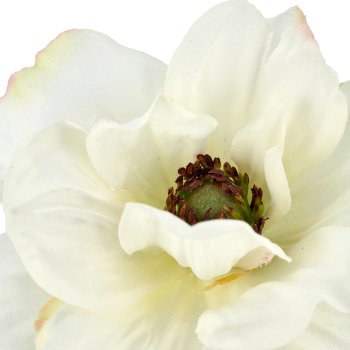 Anemone, 9x9x53cm, weiß