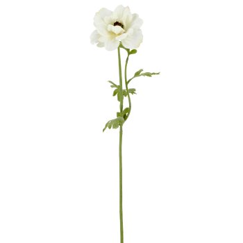 Anemone, 9x9x53cm, weiß