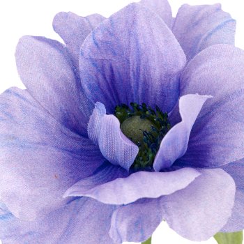 Anemone, 9x9x53cm, lilac