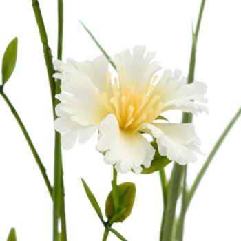 Graszweig mit Nelken, 71cm, weiß