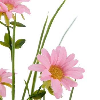 Branch of grass with daisy, 71cm, pale pink