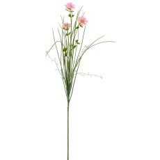 Graszweig mit Margerite, 71cm, rosa