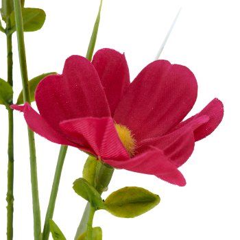 Graszweig mit Cosmea, 71cm, pink
