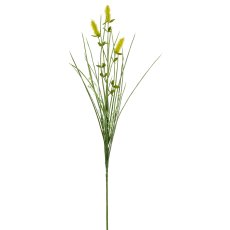 Graszweig mit Lagurus, 71cm, gelb