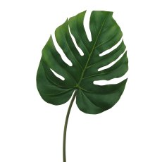 Split Philo Leaf, 80 cm