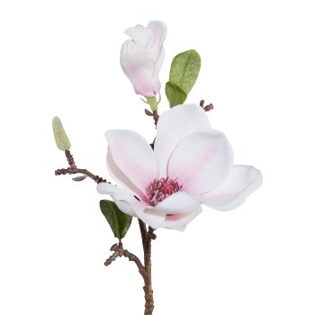 Magnolia 3/Bunch, 37cm, Pink-White