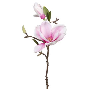 Magnolie 3/Bund, 37cm, weiß-lila