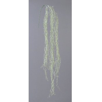 Tillandsia vine 1/poly, 146cm, green