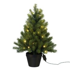 Fir Tree In Pot with 50