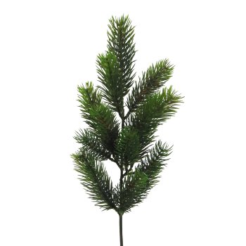 Fir Branch x 13 , 50cm