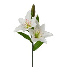 Lily, 65 cm, White