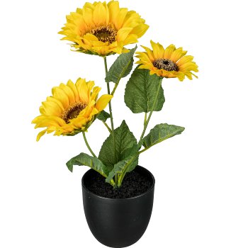 Sunflower x3 with pot, 35cm, yellow