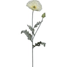 Poppy, 73cm, white